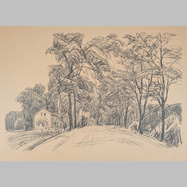Daniel Wohlgemuth | Eingang zum Wald