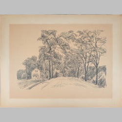 Daniel Wohlgemuth | Eingang zum Wald