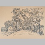 Daniel Wohlgemuth | Eingang zum Wald