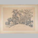 Daniel Wohlgemuth | Eingang zum Wald